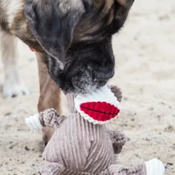 A dog playing with the HuggleHounds Stuey Sock Monkey Knottie® Plush Dog Toy.